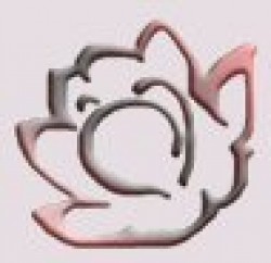 psychic advice
